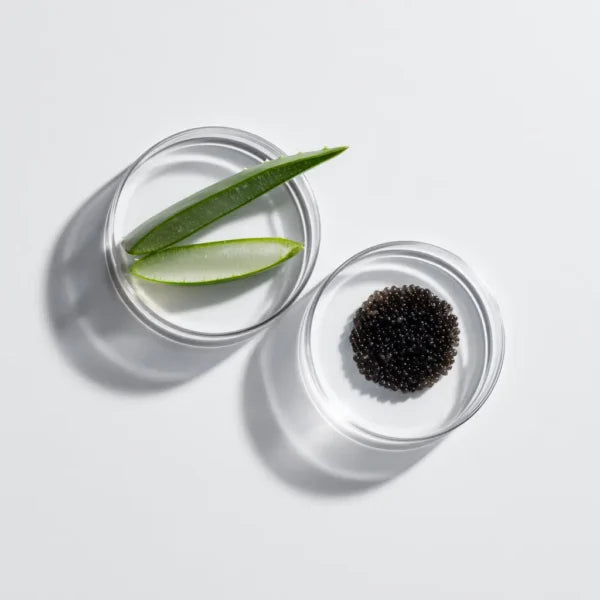 SNOWTOX CRÈME
